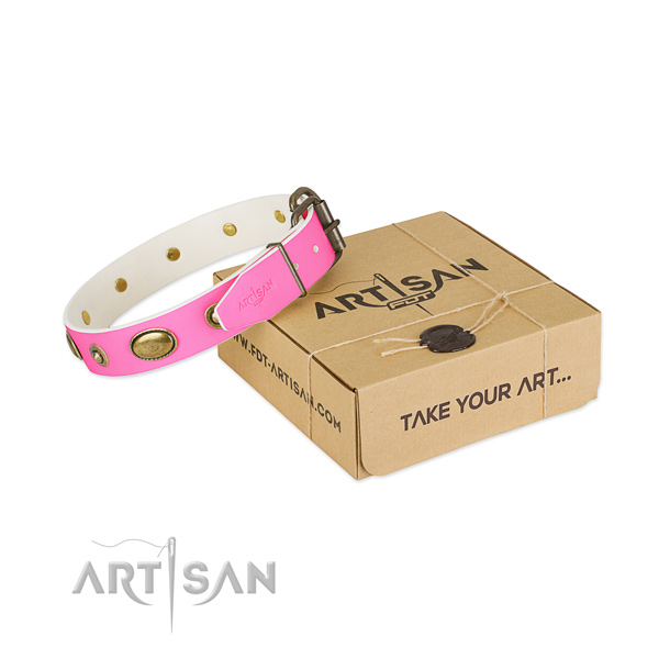 Comfortable leather collar for your handsome dog