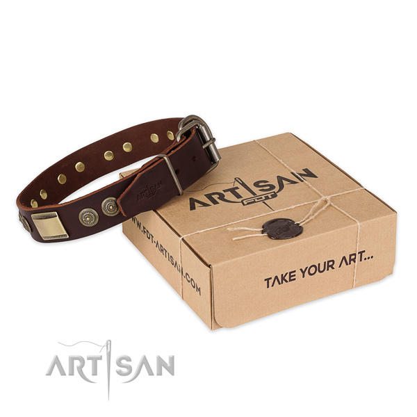 Durable hardware on leather dog collar for daily walking