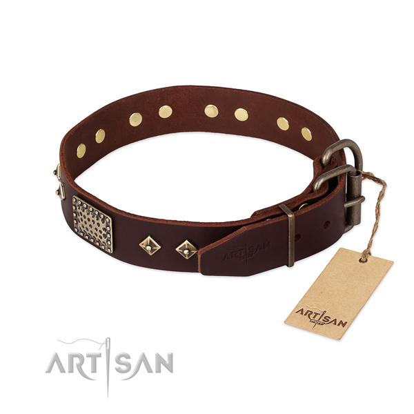 Leather dog collar with rust resistant traditional buckle and decorations