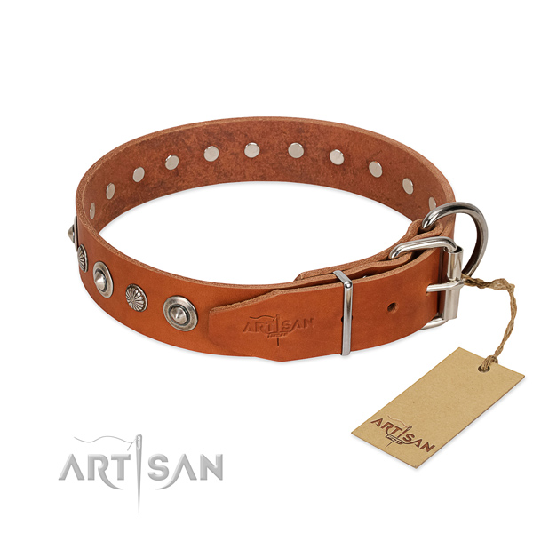 Strong genuine leather dog collar with impressive embellishments