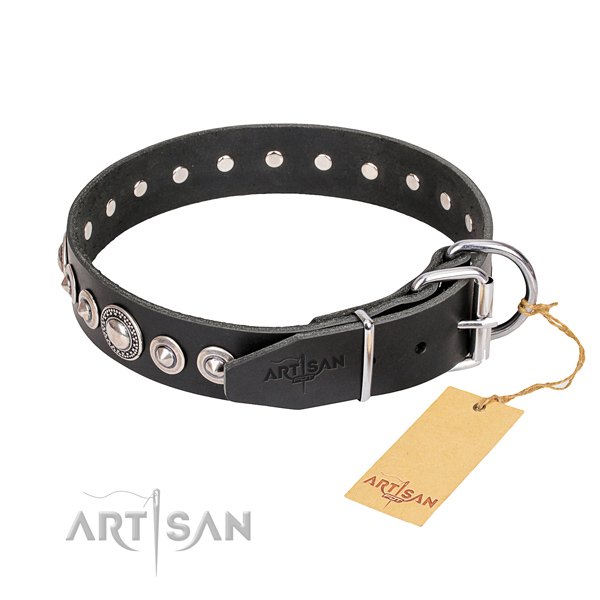 Best quality embellished dog collar of leather