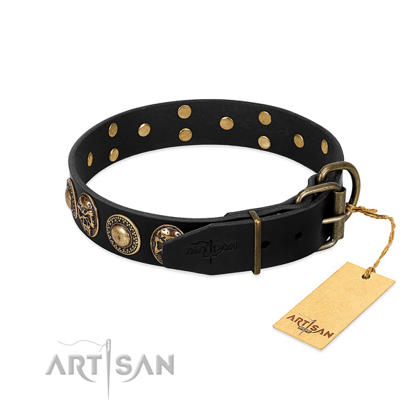 Strong embellishments on daily use dog collar