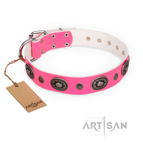 Soft leather dog collar created for everyday walking