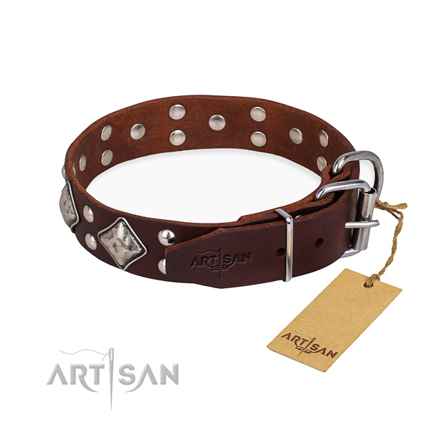 Natural leather dog collar with amazing corrosion resistant embellishments