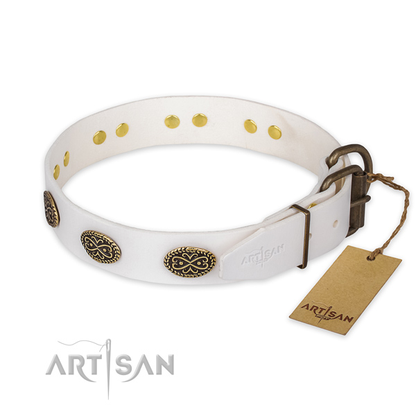 Strong traditional buckle on leather collar for walking your four-legged friend