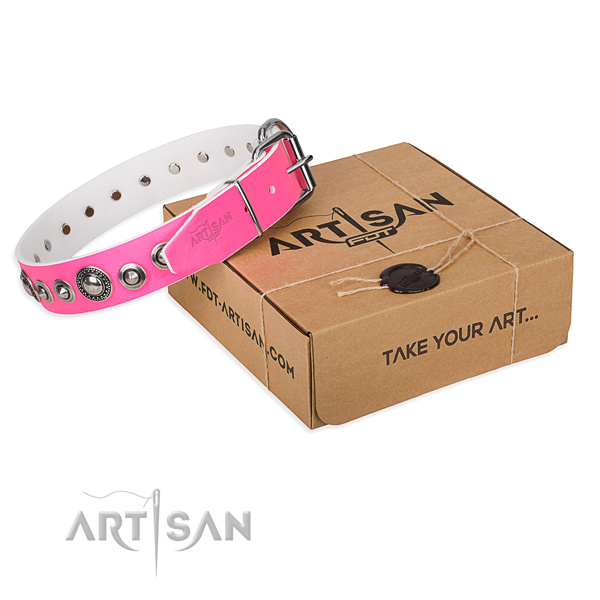 Full grain genuine leather dog collar made of gentle to touch material with reliable hardware