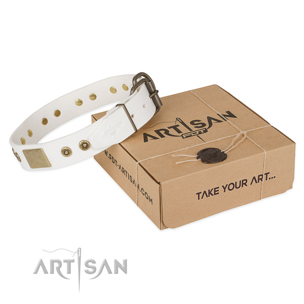 Handcrafted genuine leather collar for your stylish canine