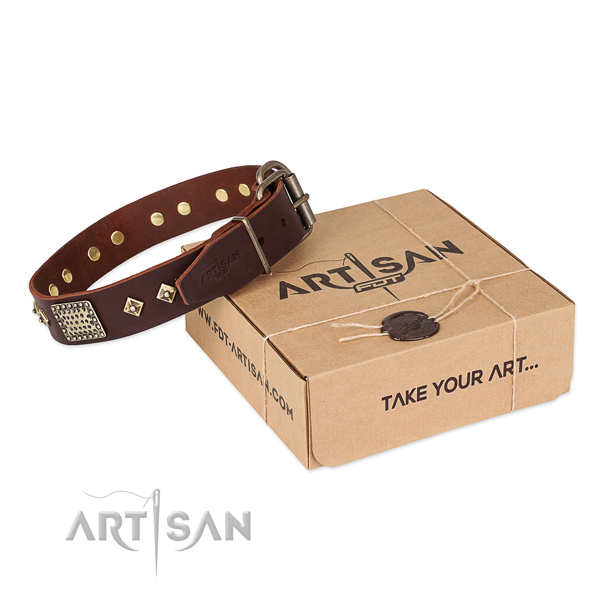 Top quality full grain natural leather collar for your stylish four-legged friend