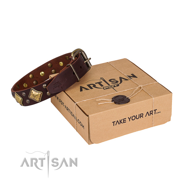 Handy use dog collar with Significant rust-proof studs