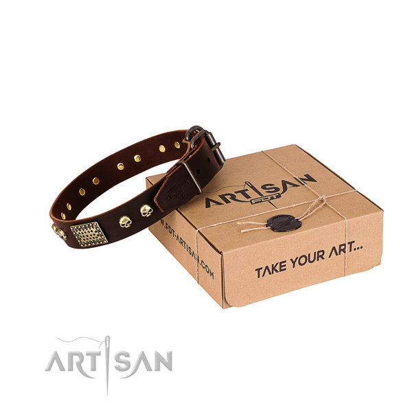 Corrosion resistant hardware on dog collar for easy wearing
