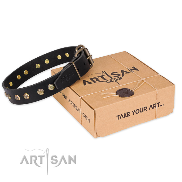 Rust resistant buckle on full grain natural leather collar for your attractive dog