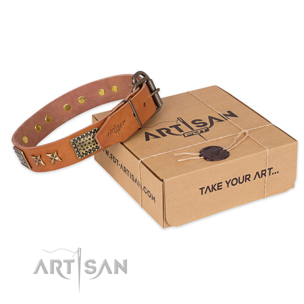 Durable buckle on full grain leather collar for your attractive canine