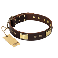"Rich Fashion" FDT Artisan Decorated Leather American Bulldog Collar with Plates and Studs
