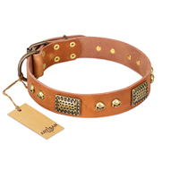 "Saucy Nature" FDT Artisan Tan Leather American Bulldog Collar with Old Bronze Look Plates and Skulls