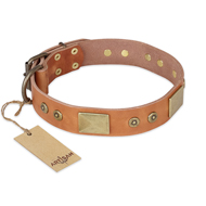 "The Middle Ages" FDT Artisan Handcrafted Tan Leather American Bulldog Collar