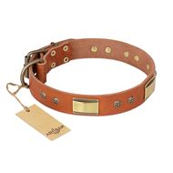 "Enchanting Spectacle" FDT Artisan Tan Leather American Bulldog Collar with Old Bronze Look Plates and Round Studs "Enchanting Spectacle" FDT Artisan Tan Leather American Bulldog Collar with Old Bronze Look Plates and Round Studs