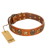 "Rockin' Doggie" FDT Artisan Tan Leather American Bulldog Collar Adorned with Stars and Skulls