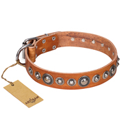 "Daily Chic" FDT Artisan Tan Leather American Bulldog Collar with Decorations