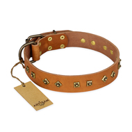 "Autumn Story" FDT Artisan Leather American Bulldog Collar with Old Bronze Look Studs