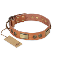 "Lost Desert" FDT Artisan Leather American Bulldog Collar with Brass Decorations