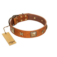 "Celtic Tunes" FDT Artisan Tan Leather American Bulldog Collar Adorned with Stars and Squares