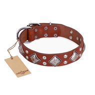 "Magic Squares" FDT Artisan Tan Leather American Bulldog Collar with Silver-like Decor