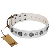 "Fluff-Stuff Beauty" FDT Artisan White Leather American Bulldog Collar with Silver-like Studs and Conchos "Fluff-Stuff Beauty" FDT Artisan White Leather American Bulldog Collar with Silver-like Studs and Conchos