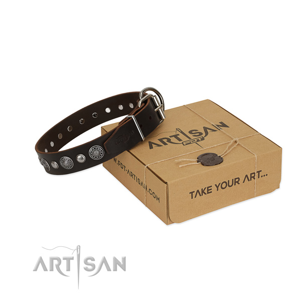 Fine quality full grain leather dog collar with trendy adornments
