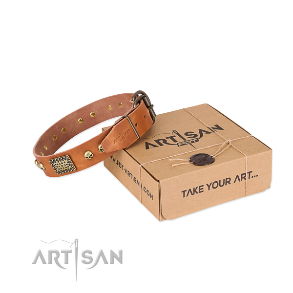 Strong decorations on dog collar for daily walking