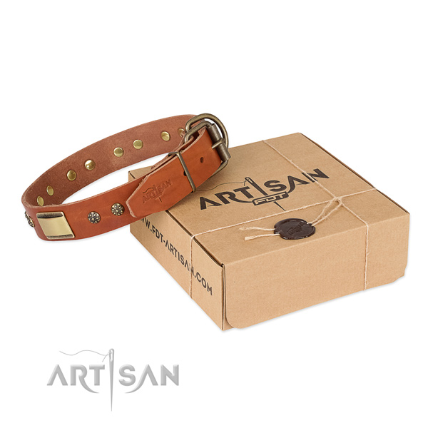 Significant full grain leather collar for your beautiful doggie