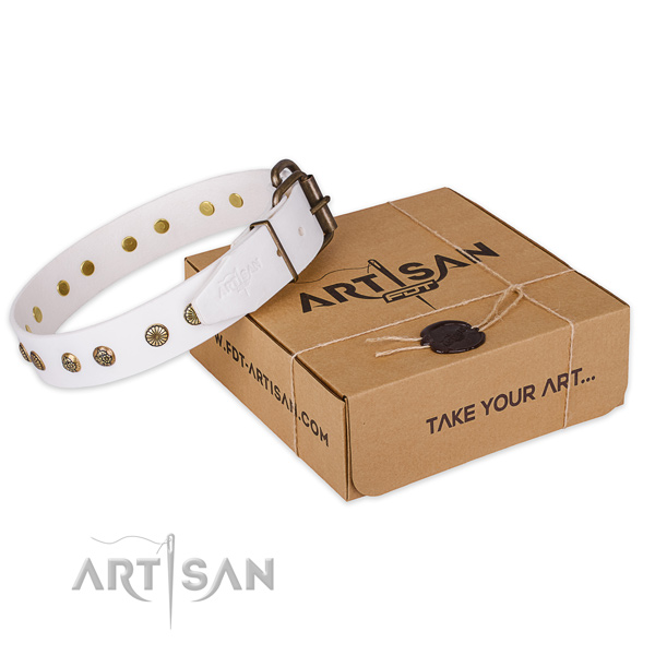 Reliable traditional buckle on natural genuine leather collar for your handsome pet