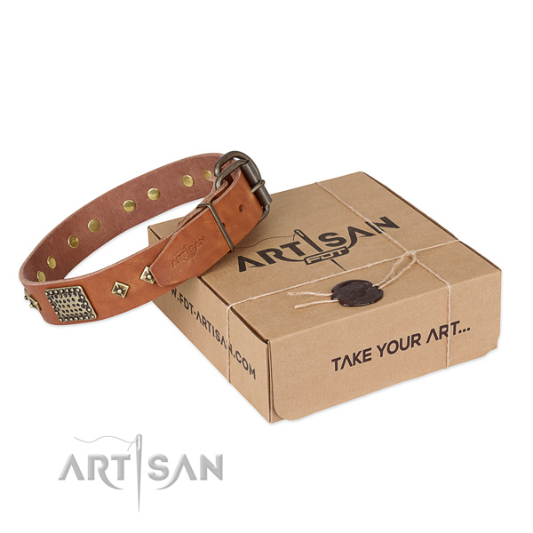 Comfortable natural leather collar for your impressive canine