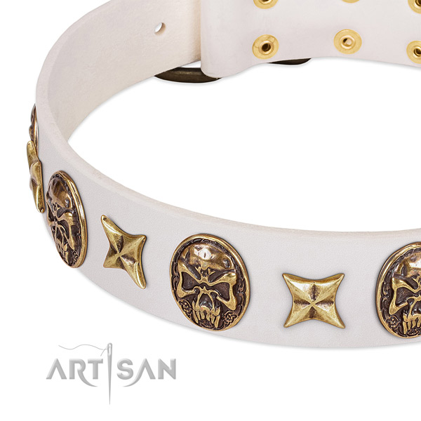 Easy adjustable dog collar made for your stylish dog