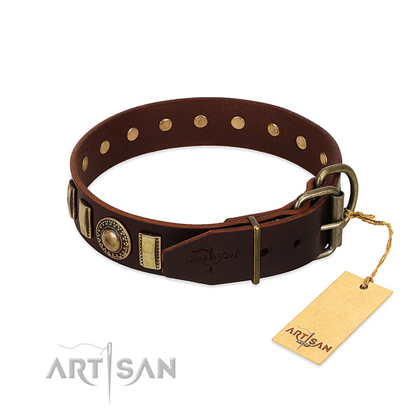 Unusual full grain leather dog collar with rust-proof traditional buckle