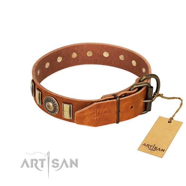 Adorned leather dog collar with rust resistant buckle