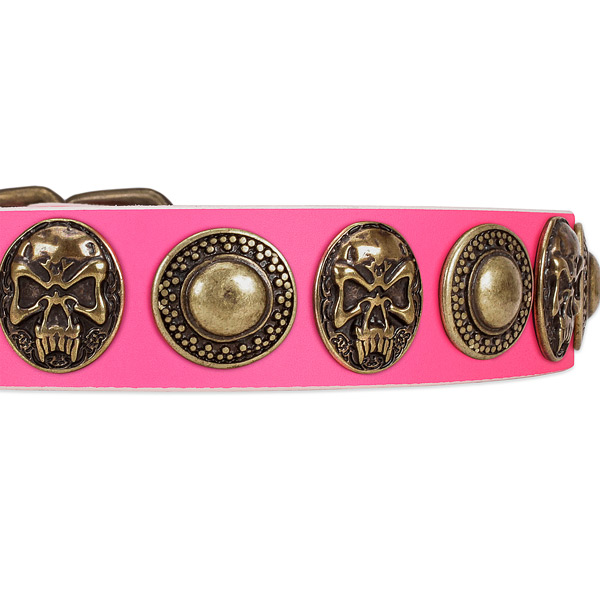 Corrosion proof adornments on genuine leather dog collar for your pet