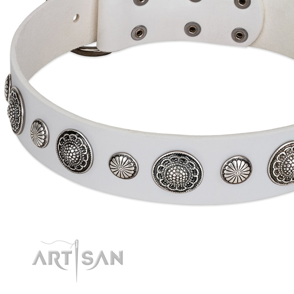 Full grain leather collar with rust-proof buckle for your lovely dog