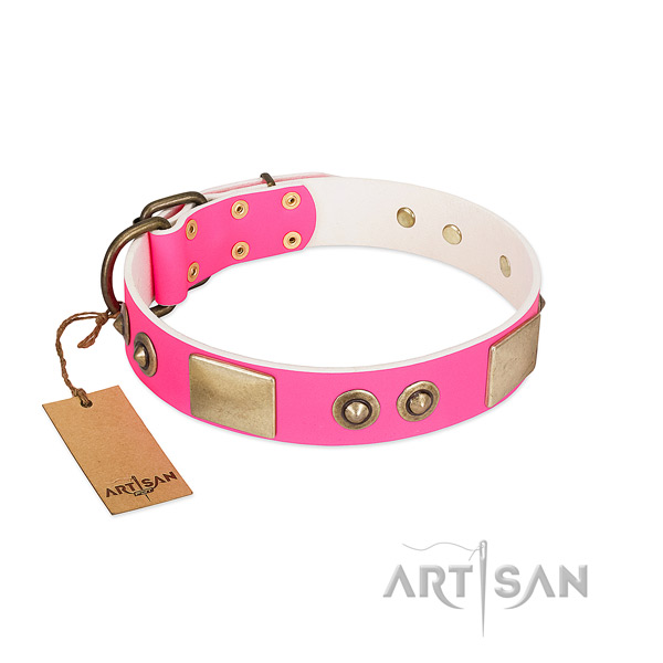 Rust-proof hardware on genuine leather dog collar for your pet
