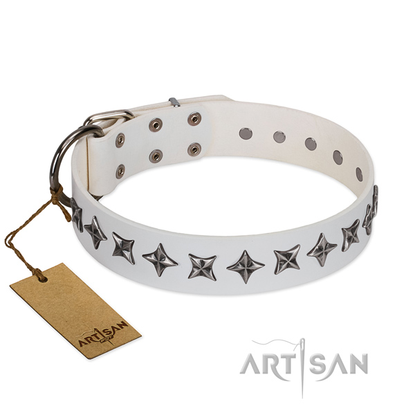 Everyday walking dog collar of quality full grain genuine leather with decorations
