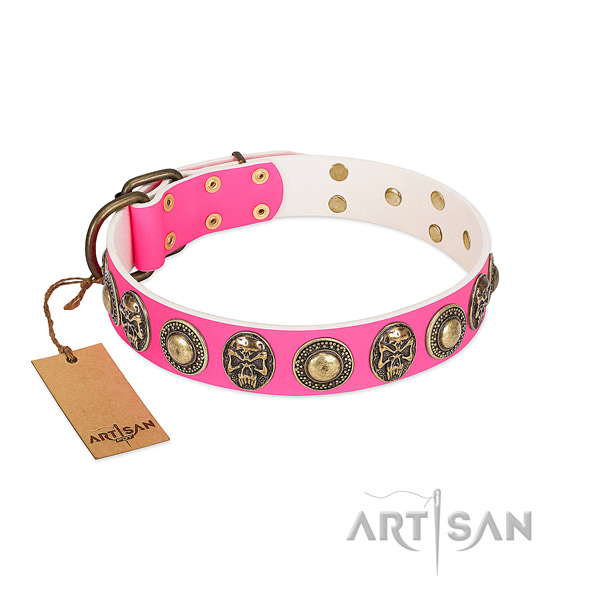 Easy wearing full grain leather dog collar for daily walking your pet