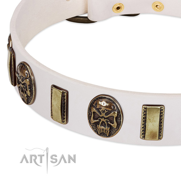 Durable fittings on leather dog collar for your four-legged friend