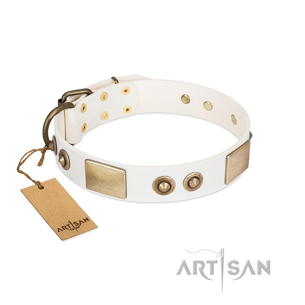 Corrosion proof embellishments on full grain leather dog collar for your pet