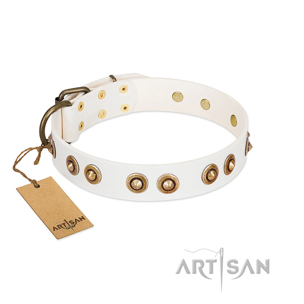 Fashionable natural leather collar for your pet