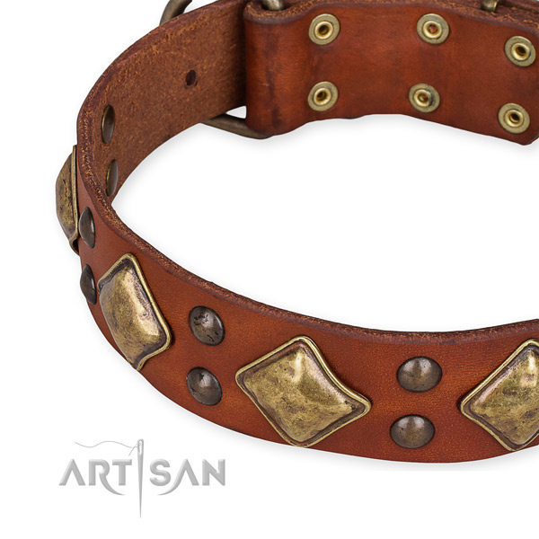 Full grain genuine leather collar with rust resistant buckle for your impressive four-legged friend