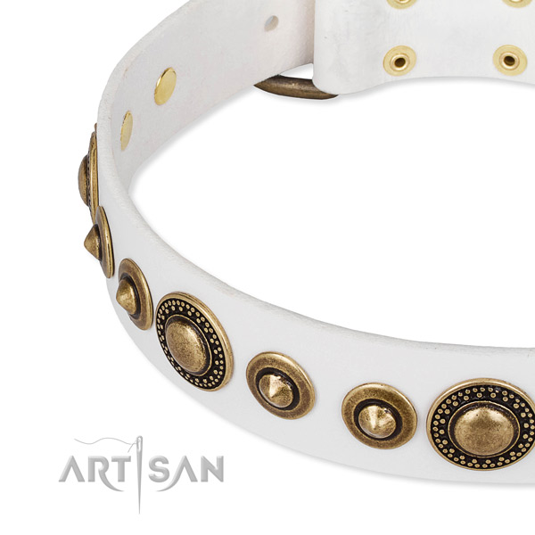 Top rate genuine leather dog collar handmade for your attractive four-legged friend