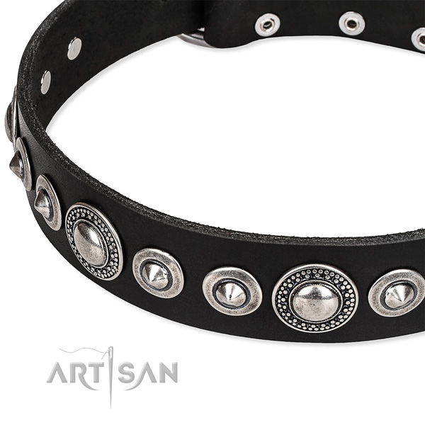 Daily walking embellished dog collar of high quality full grain natural leather