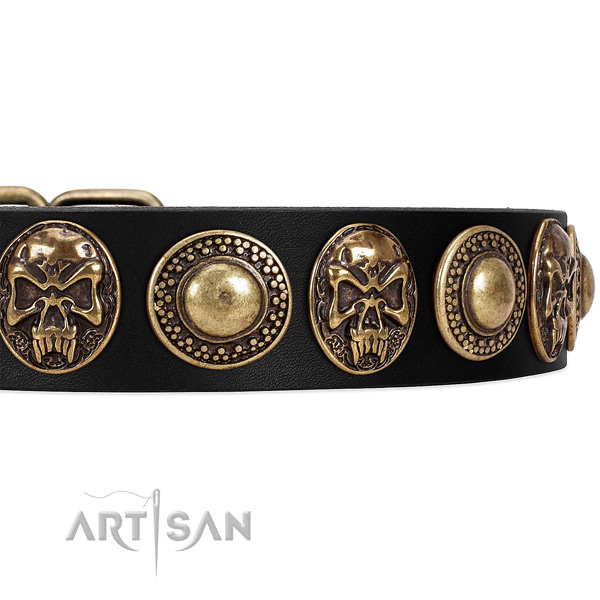 Leather dog collar with studs for stylish walking