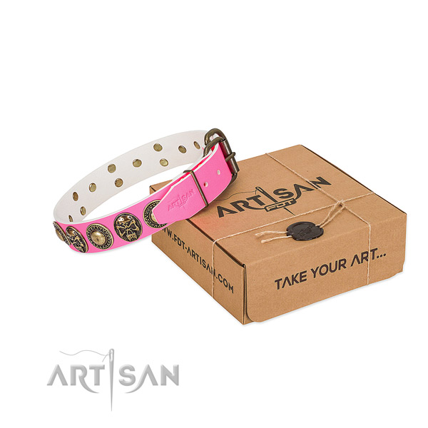 Reliable adornments on dog collar for everyday use