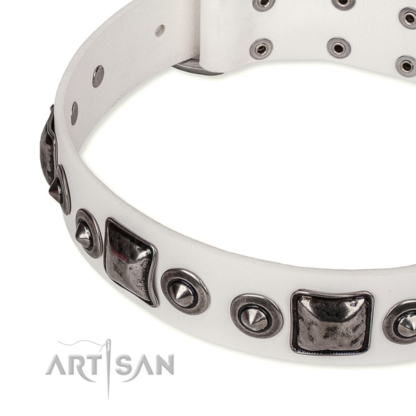 Durable genuine leather dog collar created for your attractive four-legged friend