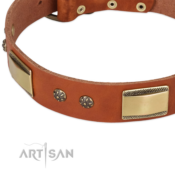 Corrosion resistant buckle on full grain leather dog collar for your dog